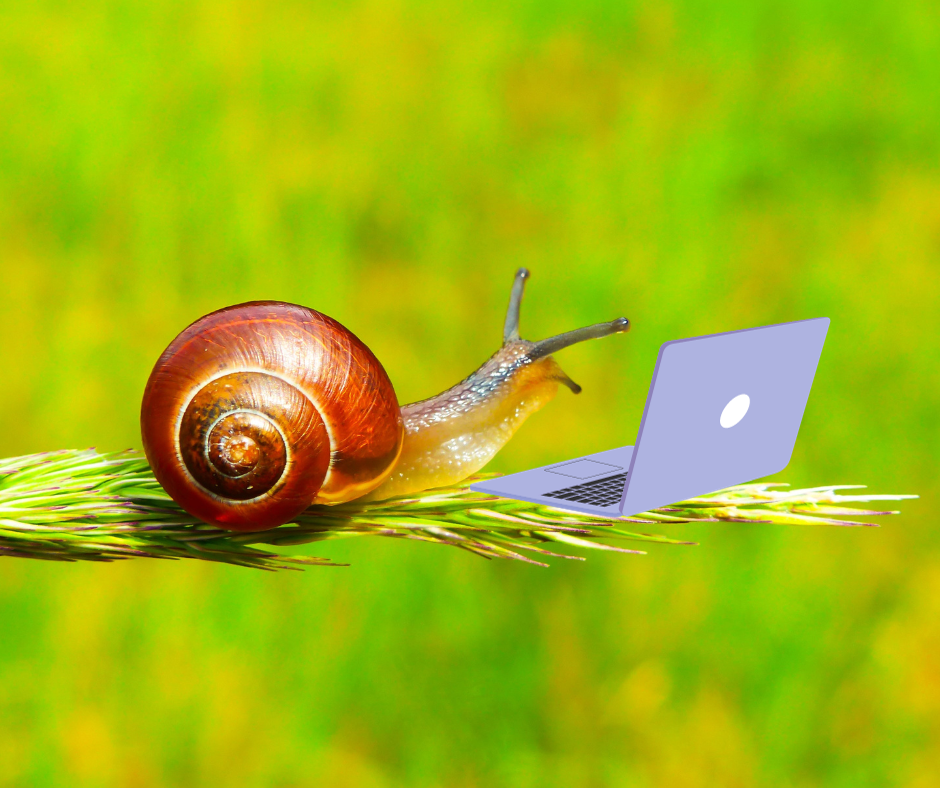 Snail looking at tiny cartoon laptop