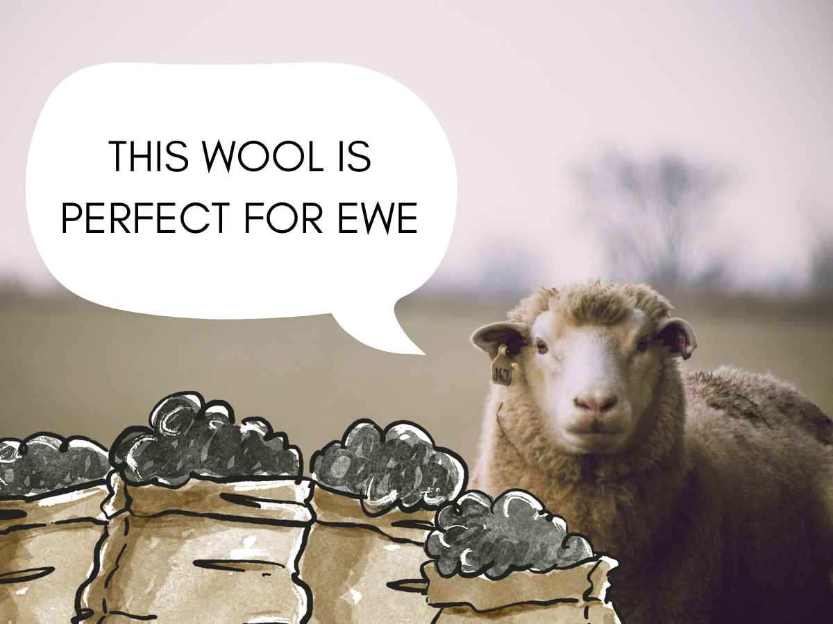 Sheep stand behind illustrated bags of wool with speech bubble that reads "This wool is perfect for ewe."